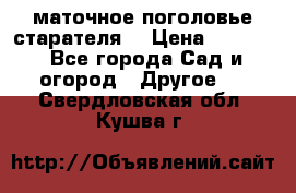 маточное поголовье старателя  › Цена ­ 3 700 - Все города Сад и огород » Другое   . Свердловская обл.,Кушва г.